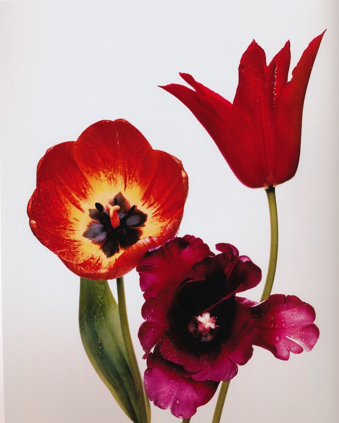 Irving Penn, 1968